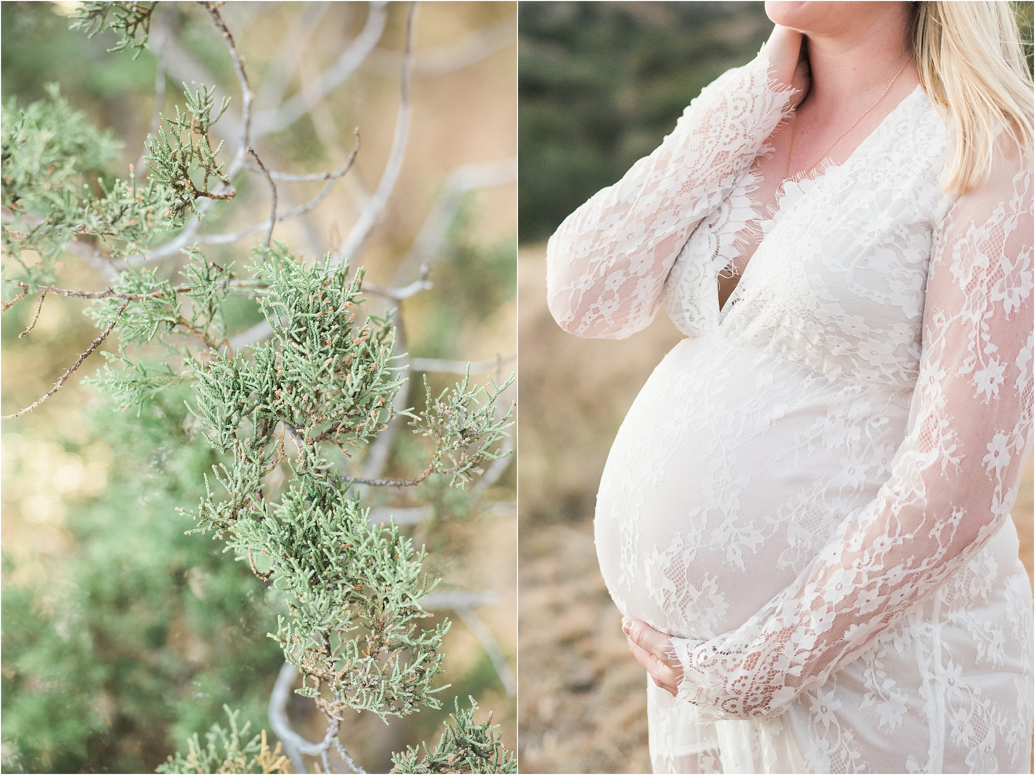 Tucson maternity photographer