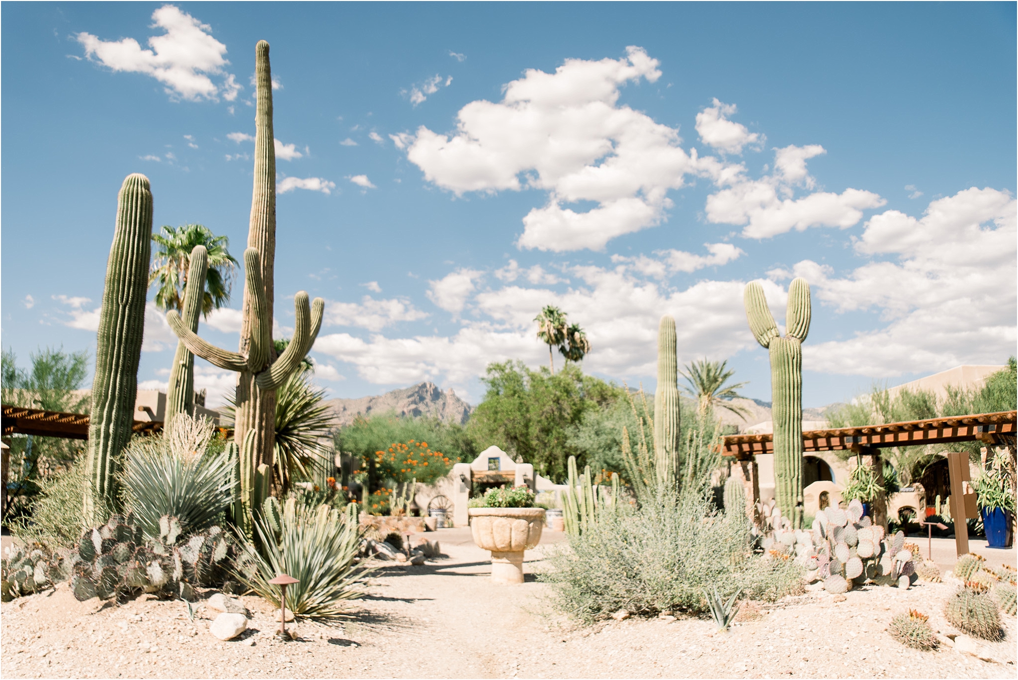 Hacienda Del Sol Wedding Tucson AZ Vanessa and Nate venue details | West End Photography
