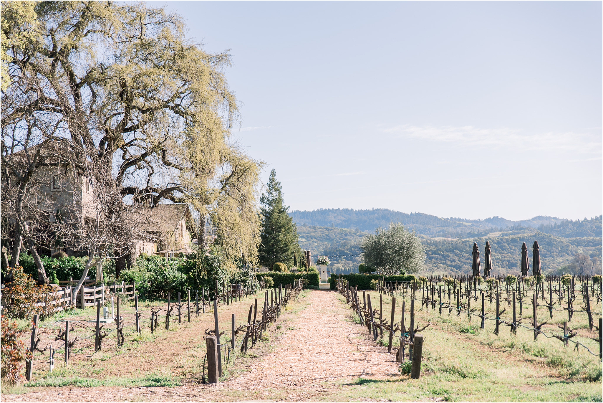 V. Sattui Winery Wedding | Napa Valley, CA | Annie and Pablo venue photos | Napa Valley Wedding Photographer | West End Photography